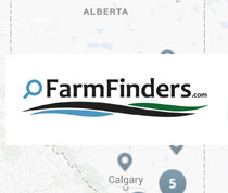 FF-tile.jpg