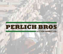 perlich-logo.jpg